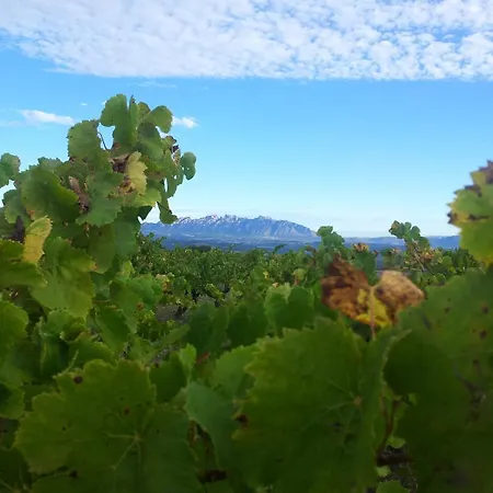 Séjour à la campagne Cal Jeroni Avinyonet del Penedes